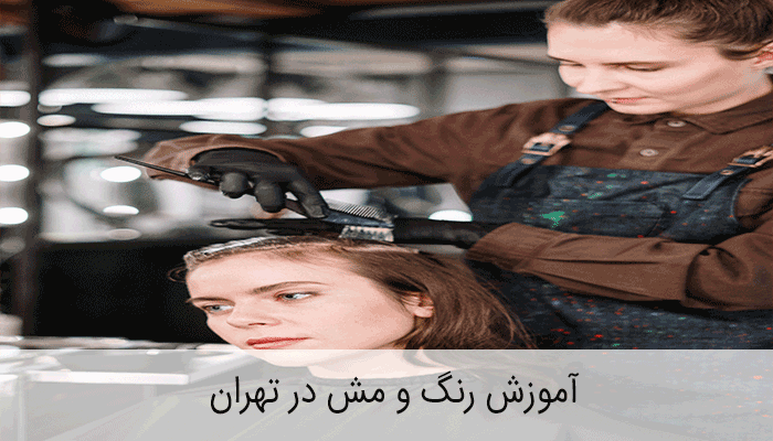 آموزش رنگ و مش در تهران